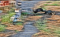 SD19: A River Runs Through It