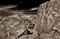 Three Rivers Petroglyphs