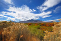 M Mountain (Socorro Peak) in the fall