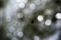 unfocused-drops.jpg