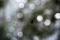 unfocused-drops.jpg