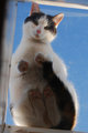 DSC_4395-orig.jpg