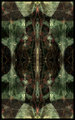 Green Green Bats of Home
