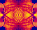 Reaching for the Seventh Chakra