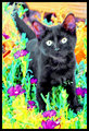 Kitten in Flowers