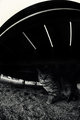Alien Abduction