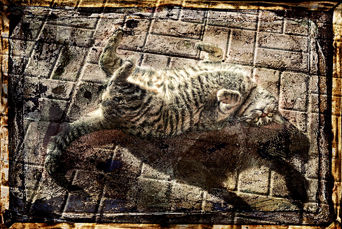 Roll over...good...now, play dead...