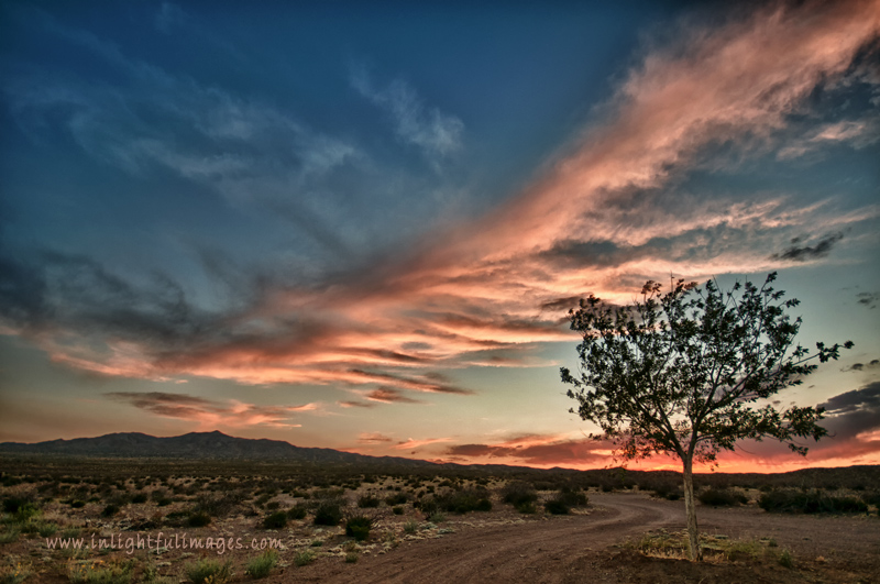 Ribbons in the Sky