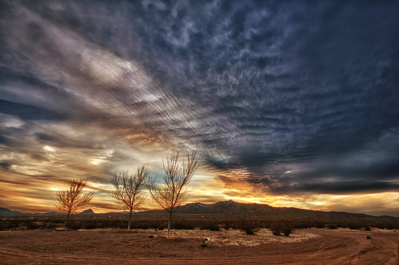February 1 Sunset