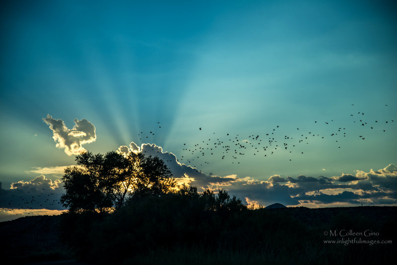 Take Flight