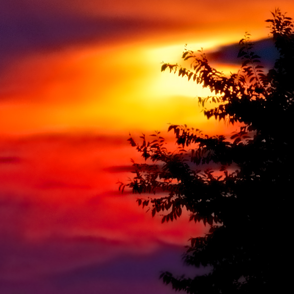 SD8: Sunrise Colors
