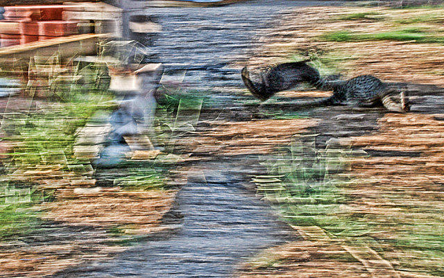SD19: A River Runs Through It