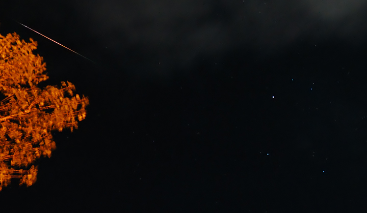 Aurigid Meteor