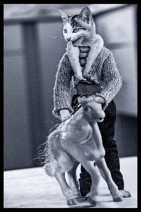 Well Versed Creepy Cats: Dig a Pony
