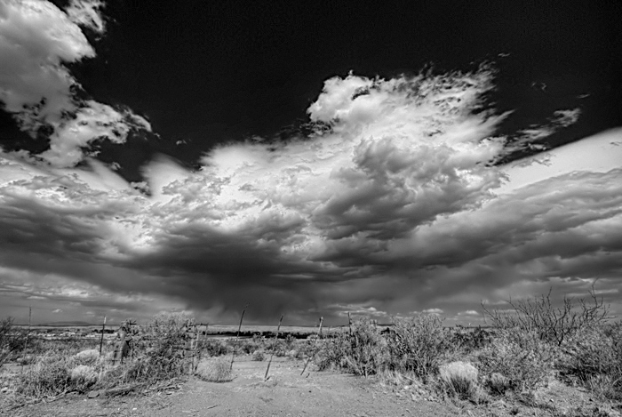 HDR 080407 b&w