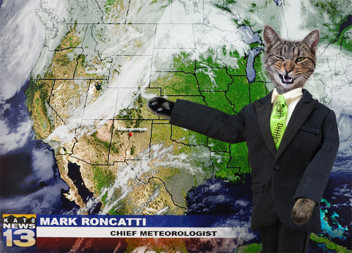 kat farm kittens: Mark Roncatti