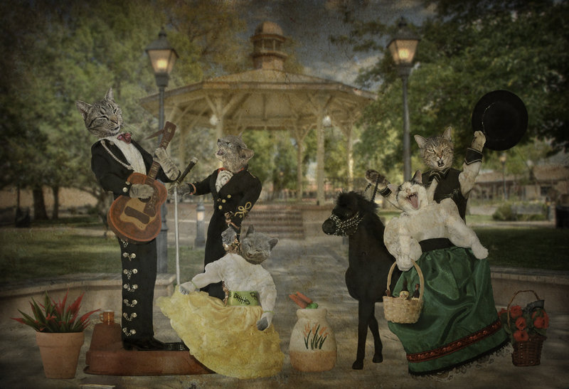 kat farm kittens: Cinco de Mayo