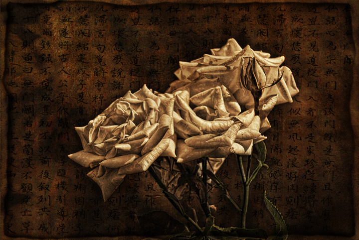 Paper Roses