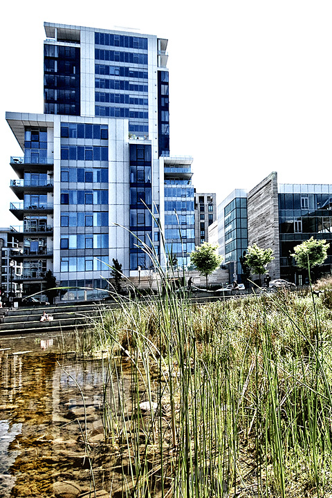 City Pond