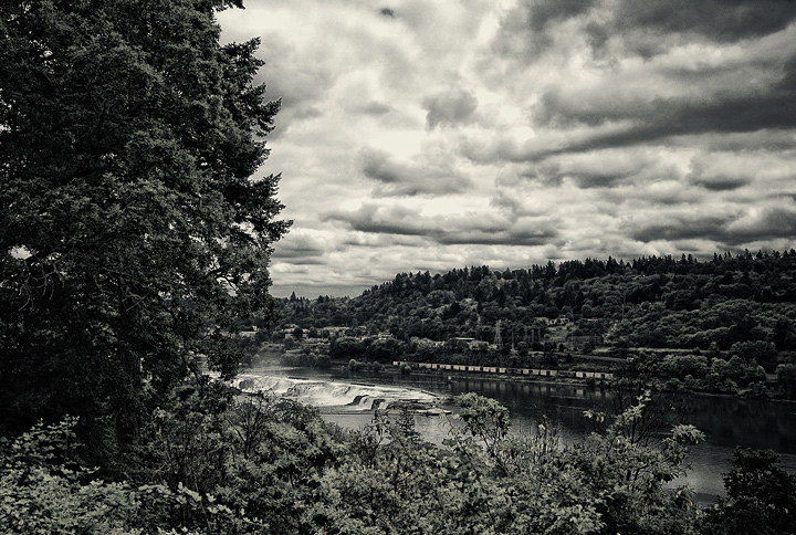 River Wild