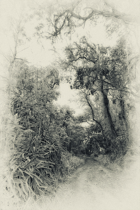 road less traveled