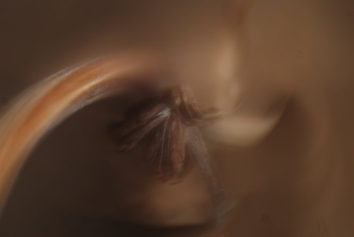 DSC_2307.jpg