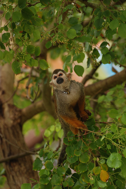 DSC_5485-orig.jpg