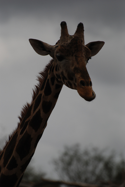 DSC_5619-orig.jpg