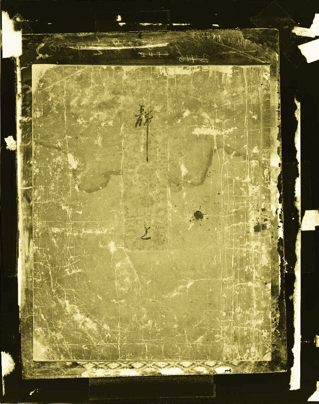 bookback-film.jpg