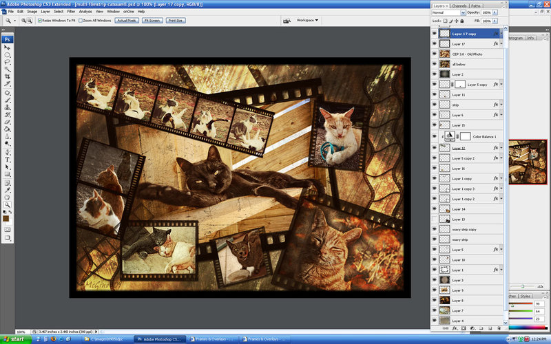 multi-cat-wf.jpg
