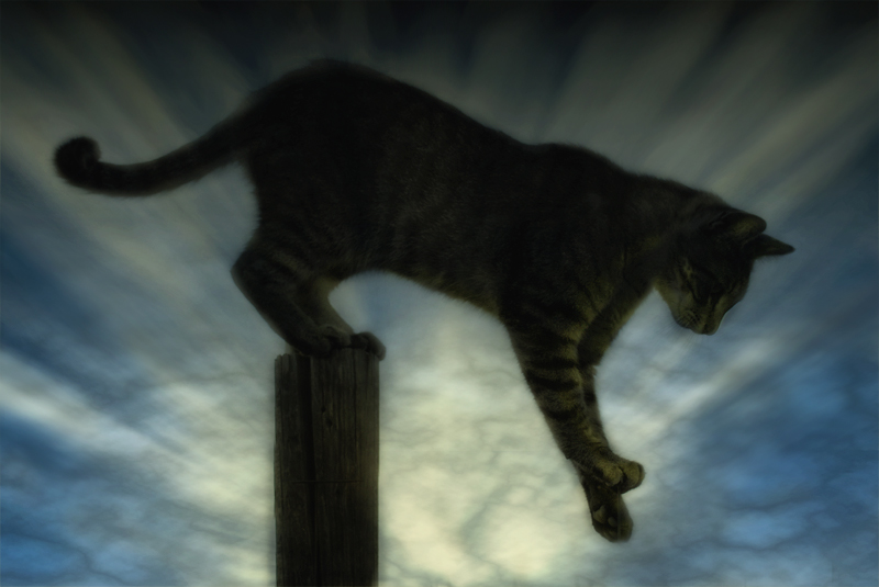 Leap of Faith