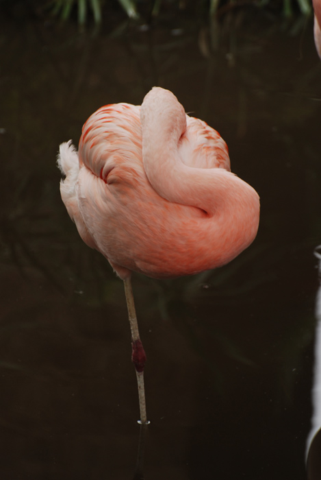 DSC_5547-orig.jpg