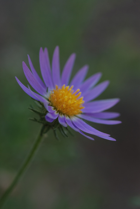 DSC_9468-orig.jpg
