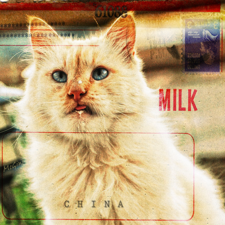 Milk
