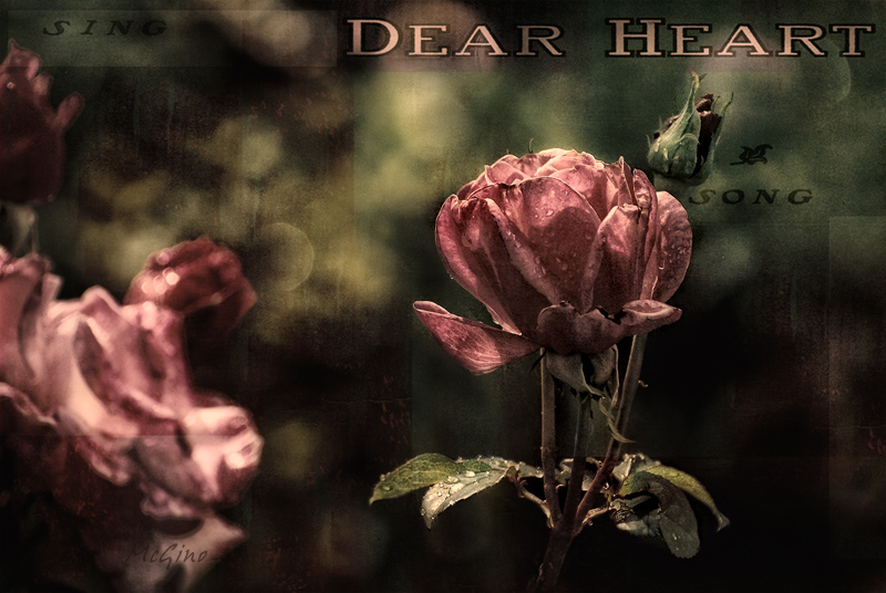 Dear Heart