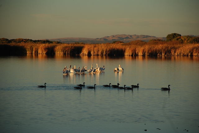 DSC_1671-orig.jpg