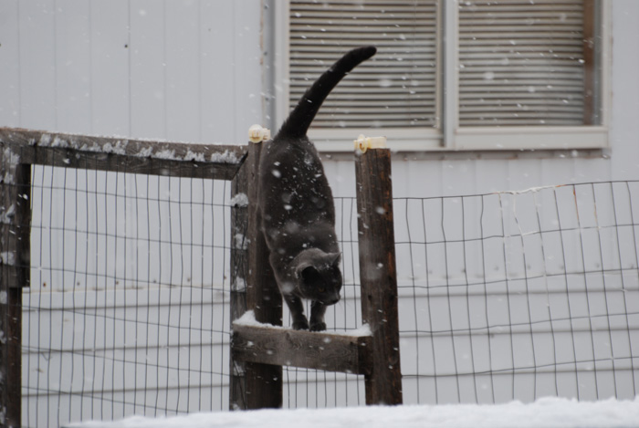 DSC_2070b-orig.jpg