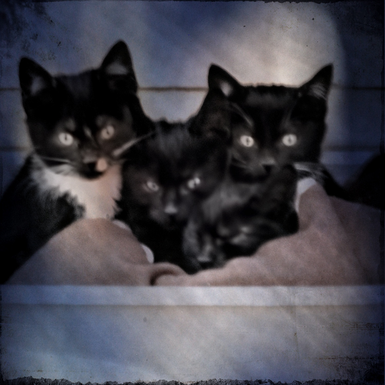 we are family