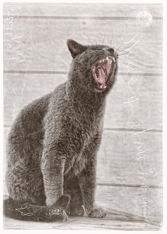 sing a song of sixpence