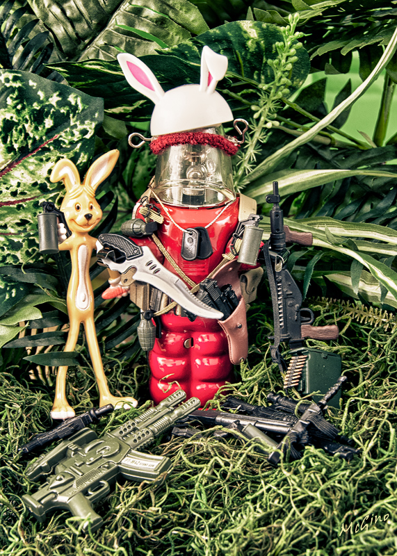 Rambot and Rambit