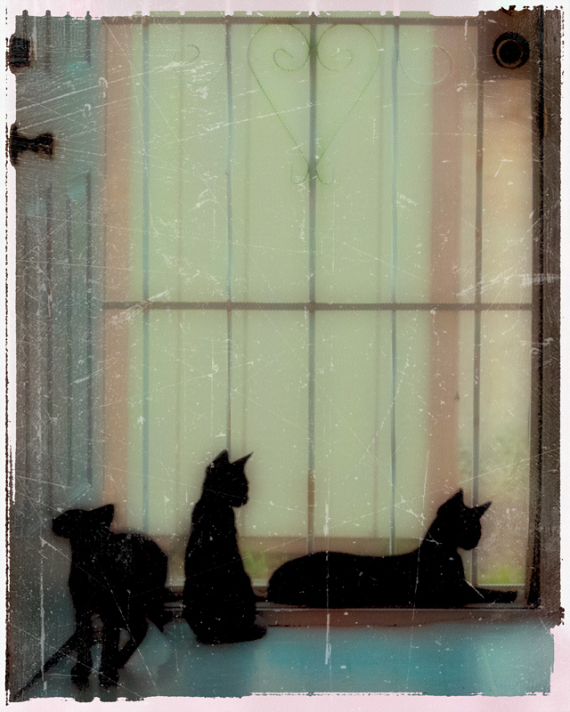 we are three