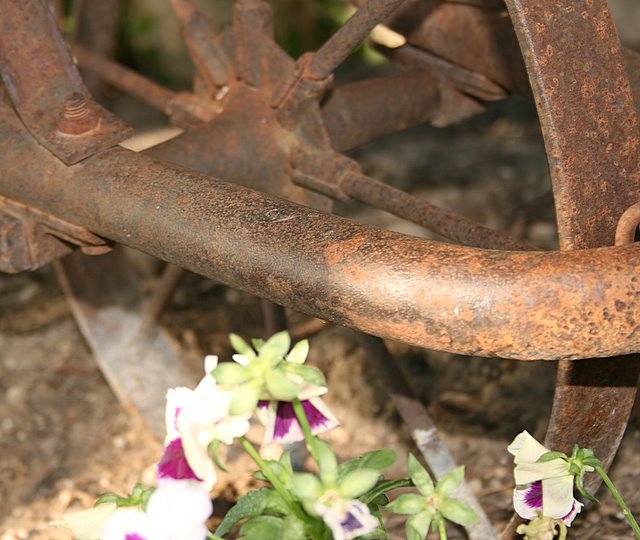 Day 20 - Old Wheel barrow