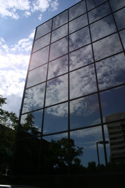 Reflections