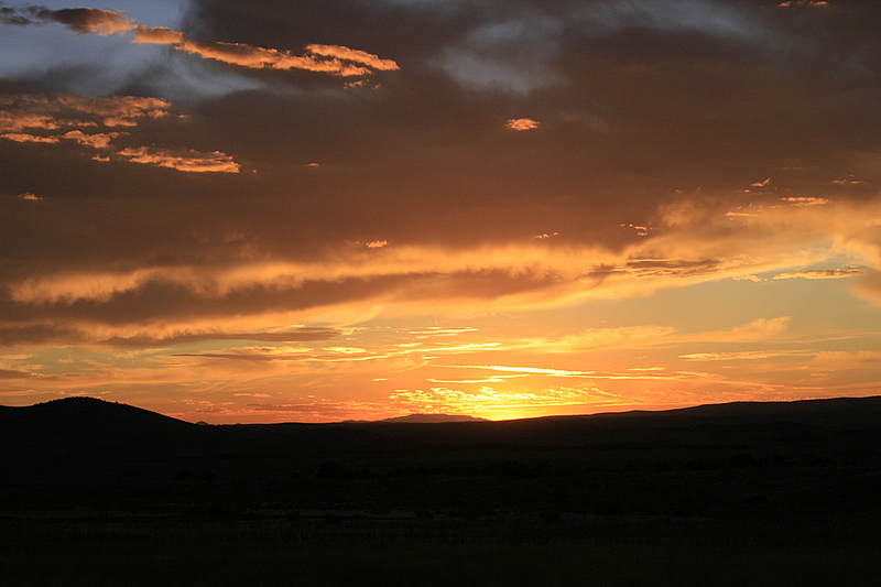 Golden Sunset