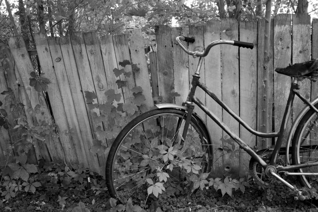 Day 15 - Old Bike