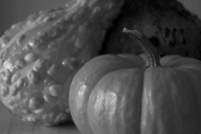 Day 21 - Gourds