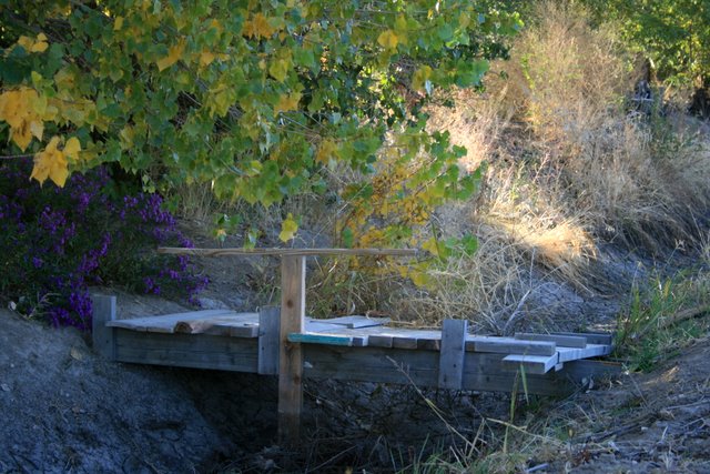 Slice of Life - Day 14 - An Old Bridge