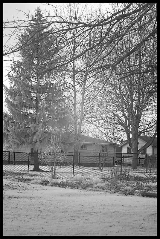 IR Backyard