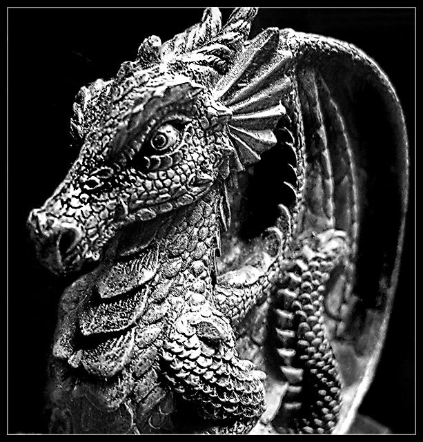 Day 6 - El Dragoon