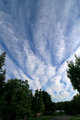 Blue Sky.jpg